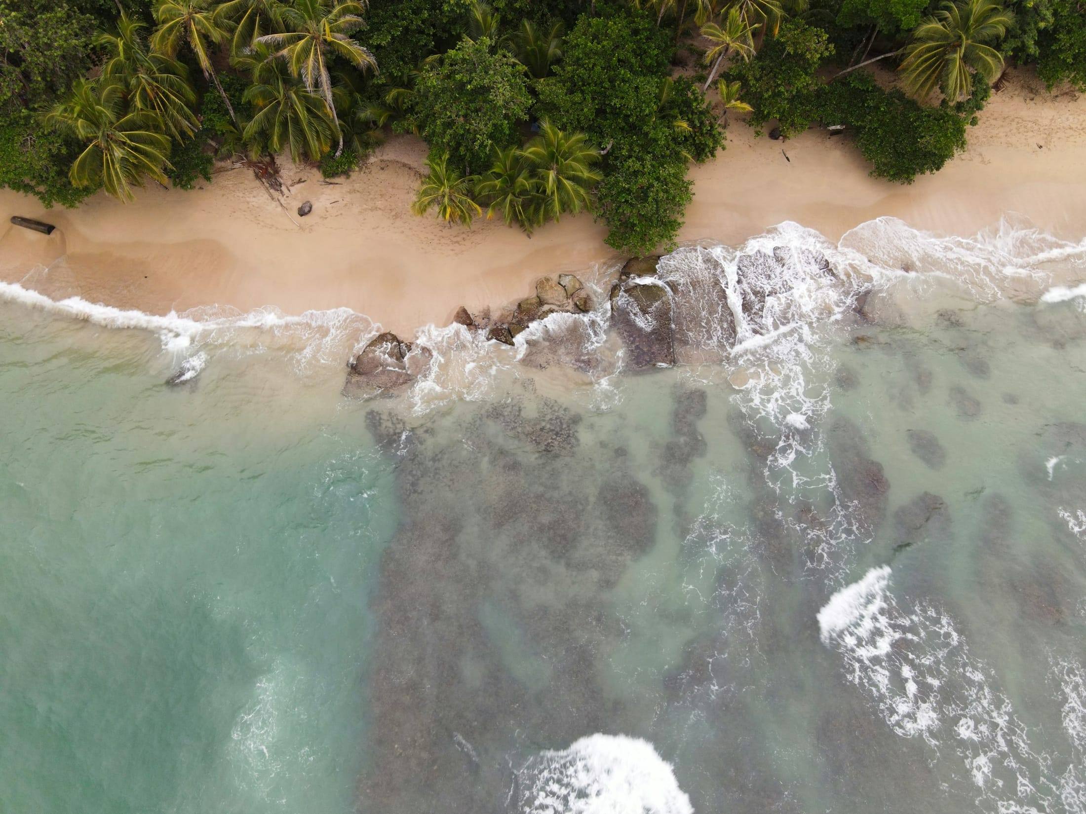Playa bordeada de palmeras en el Caribe Sur de Costa Rica