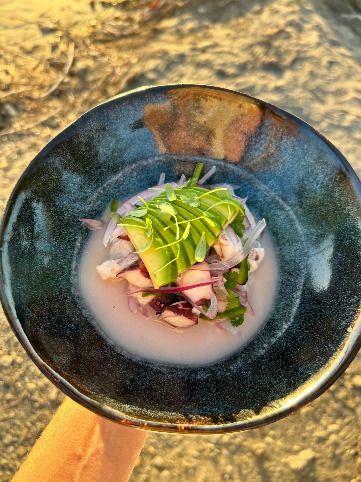 Ceviche de pescado fresco y pulpo con cebolla morada, culantro, chile y aguacate en leche de tigre