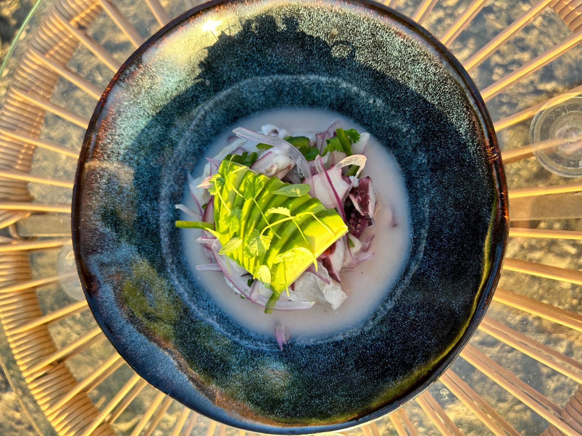 Ceviche con aguacate en abanico y microbrotes en un plato de cerámica oscura, visto desde arriba con luz dorada
