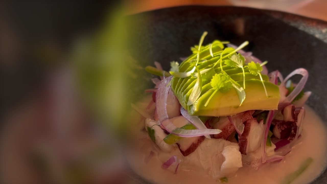 El ceviche del Chef Julián con aguacate en abanico y microbrotes a la luz dorada de la tarde